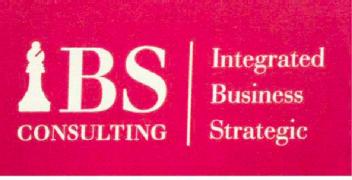 Imagen de IBS CONSULTING INTEGRATED BUSINESS STRATEGIC
