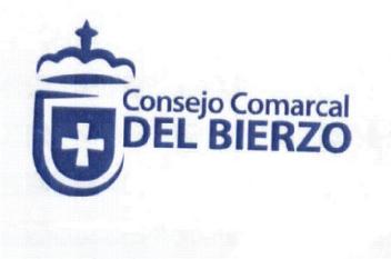 Imagen de CONSEJO COMARCAL DEL BIERZO
