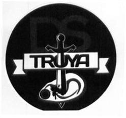 Imagen de DS TROYA