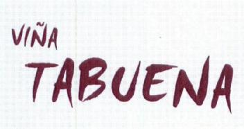 Imagen de VIÑA TABUENA