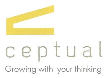 Imagen de C CEPTUAL GROWING WITH YOUR THINKING