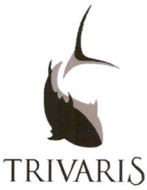 Imagen de TRIVARIS