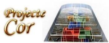 Imagen de PROJECTE COR