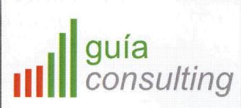 Imagen de GUIA CONSULTING