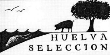 Imagen de HUELVA SELECCION