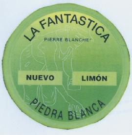 Imagen de LA FANTASTICA PIEDRA BLANCA PIERRE BLANCHE