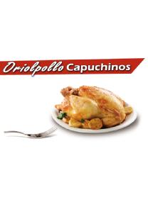 Imagen de ORIOLPOLLO CAPUCHINOS