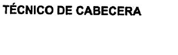 Imagen de TECNICO DE CABECERA