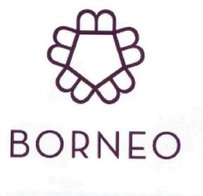 Imagen de BORNEO