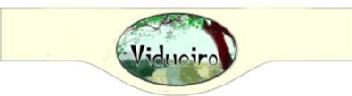 Imagen de VIDUEIRO