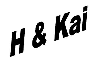 Imagen de H & KAI