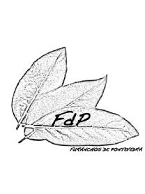 Imagen de FDP FURANCHOS DE PONTEVEDRA