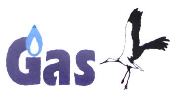 Imagen de GAS