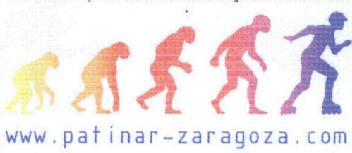 Imagen de WWW.PATINAR-ZARAGOZA.COM