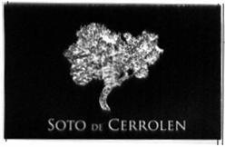 Imagen de SOTO DE CERROLEN