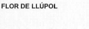Imagen de FLOR DE LLUPOL