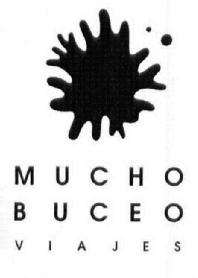 Imagen de MUCHO BUCEO VIAJES