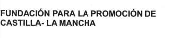 Imagen de FUNDACION PARA LA PROMOCION DE CASTILLA-LA MANCHA