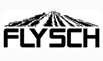 Imagen de FLYSCH