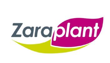 Imagen de ZARAPLANT