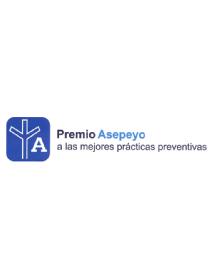 Imagen de PREMIO ASEPEYO A LAS MEJORES PRACTICAS PREVENTIVAS