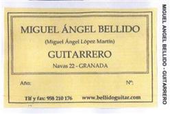 Imagen de MIGUEL ANGEL BELLIDO (MIGUEL ANGEL LOPEZ MARTIN) GUITARRERO