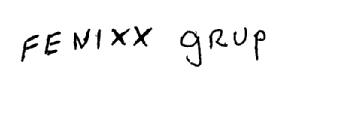 Imagen de FENIXX GRUP