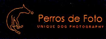 Imagen de PERROS DE FOTO UNIQUE DOG PHOTOGRAPHY