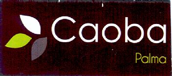 Imagen de CAOBA PALMA