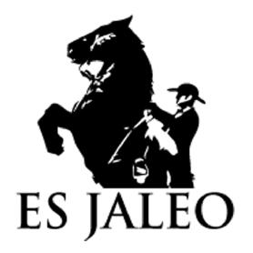 Imagen de ES JALEO
