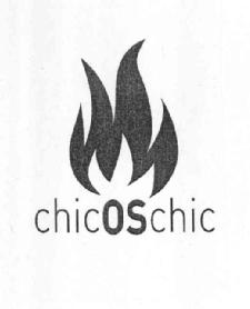 Imagen de CHICOSCHIC