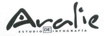 Imagen de ARALIE ESTUDIO DE INFOGRAFIA