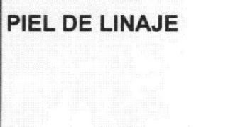 Imagen de PIEL DE LINAJE