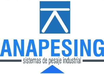 Imagen de ANAPESING SISTEMAS DE PESAJE INDUSTRIAL
