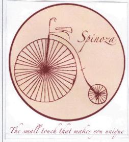 Imagen de SPINOZA THE SMALL TOUCH THAT MAKES YOU UNIQUE