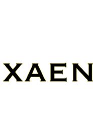 Imagen de XAEN