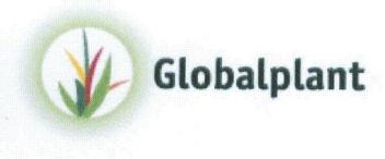 Imagen de GLOBALPLANT