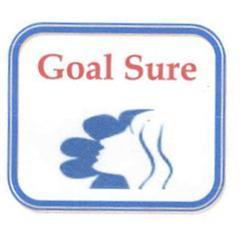 Imagen de GOAL SURE