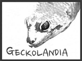 Imagen de GECKOLANDIA