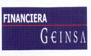 Imagen de FINANCIERA GEINSA