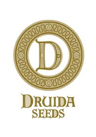 Imagen de DRUIDA SEEDS