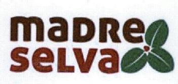 Imagen de MADRE SELVA