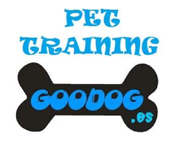 Imagen de PET TRAINING GOODOG.ES