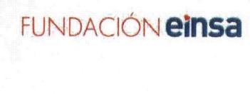 Imagen de FUNDACION EINSA