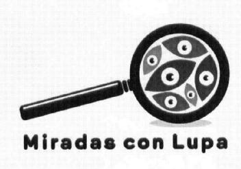 Imagen de MIRADAS CON LUPA