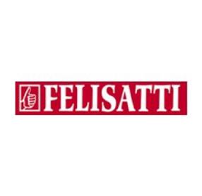 Imagen de FELISATTI