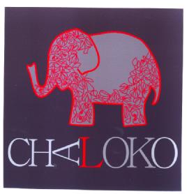 Imagen de CHALOKO
