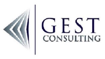 Imagen de GEST CONSULTING