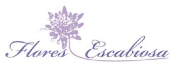 Imagen de FLORES ESCABIOSA
