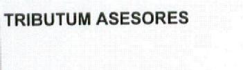 Imagen de TRIBUTUM ASESORES